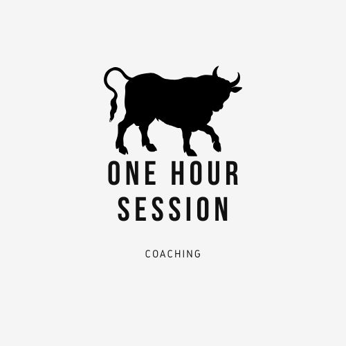 1 hour 1:1 Session