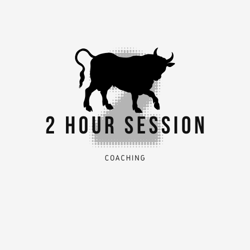 2 hour 1:1 session